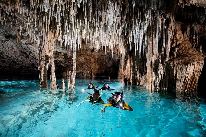 Half-Day Sea Turtle and Cenote Snorkeling Tour from Cancun & Riviera Maya - What to bring and wear: don’t let the rules surprise you