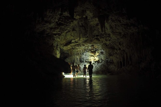 Hidden Cenote exploration in Playa del Carmen - Value Check: What’s Included, What Costs Extra, and Why It Adds Up