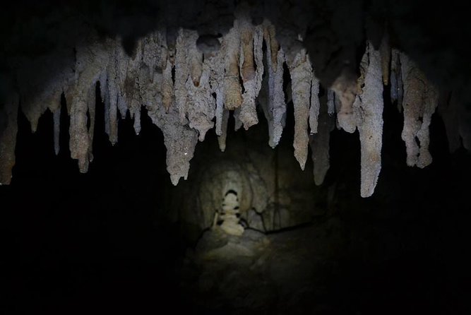 Hidden Cenote exploration in Playa del Carmen - Who Should Book This Cenote Tour—and Who Should Skip It