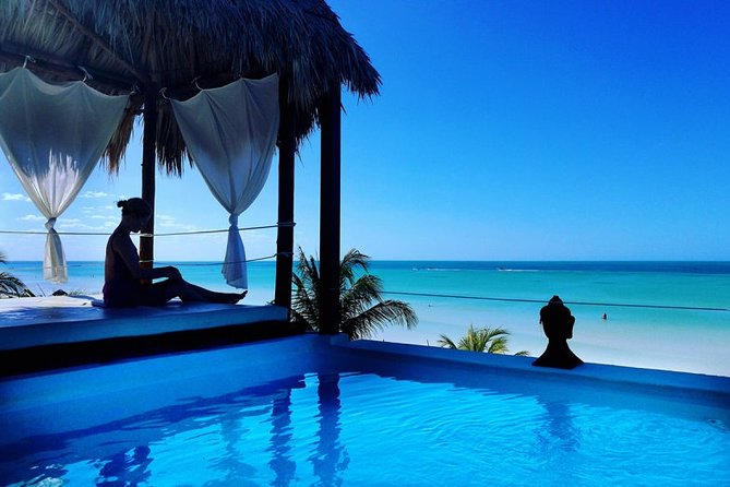 Holbox Island Full Day Trip with Lunch From Playa del Carmen - Free time on Holbox: beaches, shade limits, and sargassum check