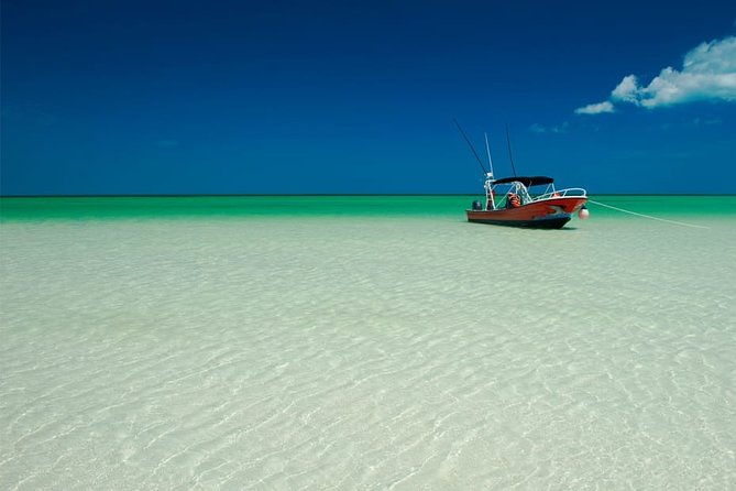 Holbox Island Full Day Trip with Lunch From Playa del Carmen - Transport comfort and guide quality: what to expect with a mixed-language day