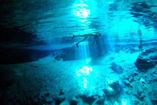 Jungle Bike Tour from Playa del Carmen with Bath in a Cenote - Wildlife and Ecosystem Notes From Alex, the Local Guide