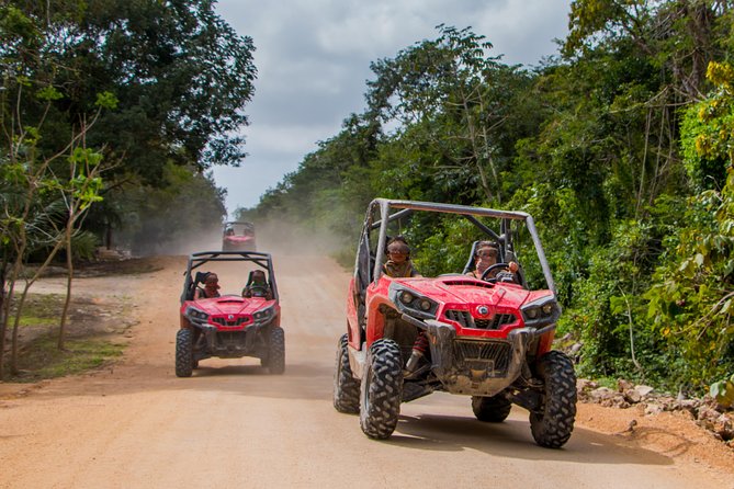 Jungle Buggy Tour from Playa del Carmen Including Cenote Swim - The cenote cave swim and snorkeling: the reason this is worth it