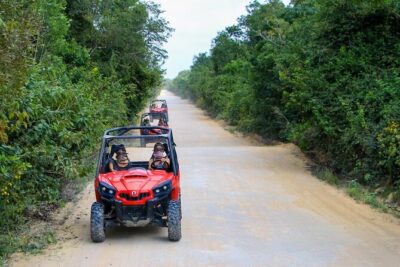 Jungle Buggy Tour from Playa del Carmen Including Cenote Swim - Guides and safety that keep the day feeling under control