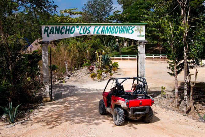 Jungle Buggy Tour from Playa del Carmen Including Cenote Swim - Pickup, meeting point, and the timing that helps your whole day