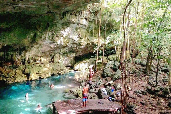 Jungle Buggy Tour from Playa del Carmen Including Cenote Swim - Who this tour fits best (and who should skip it)