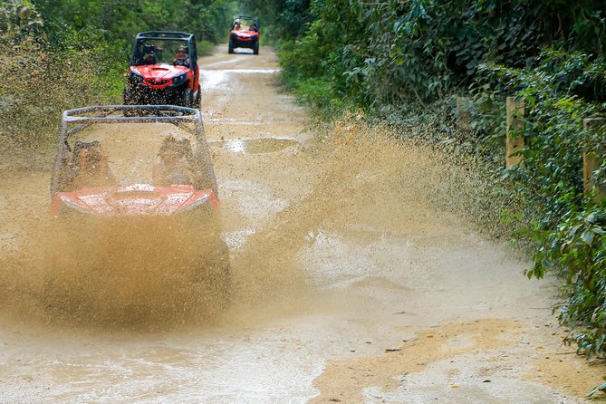 Jungle Buggy Tour from Playa del Carmen Including Cenote Swim - Should you book the Jungle Buggy + Cenote Swim from Playa del Carmen?
