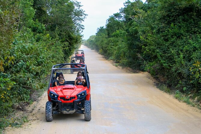 Jungle Buggy Tour from Playa del Carmen Including Cenote Swim - Guides and safety that keep the day feeling under control