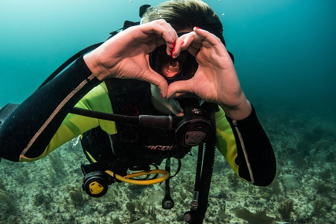 Local Dive in Playa del Carmen - Two Underwater Sessions on a Local Reef Plan
