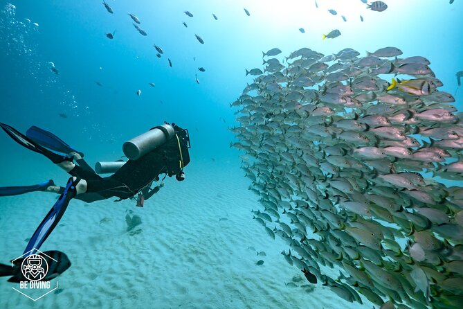 Local Dive in Playa del Carmen - Guides and Crew: Small-Group Attention You Can Feel