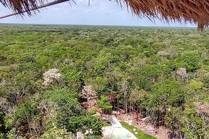 Maya Adrenaline: ATV, Ziplines & Cenote From Playa del Carmen. - ATV Ride on Mud Roads: How the Thrill Actually Works