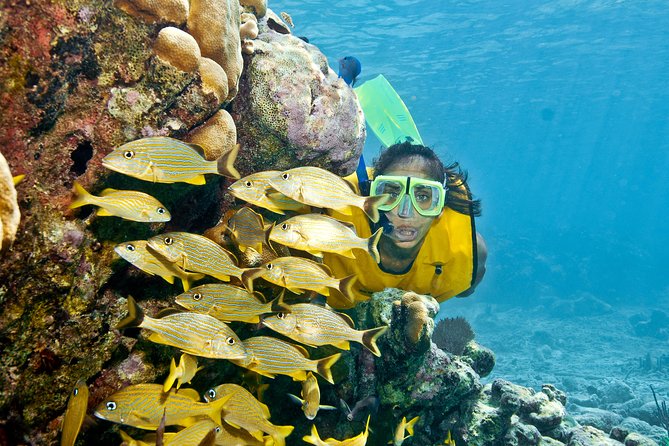 Mayan Adventure Snorkeling Tour from Playa del Carmen or Riviera Maya - Morning Pickup and the Aventuras Mayas Start