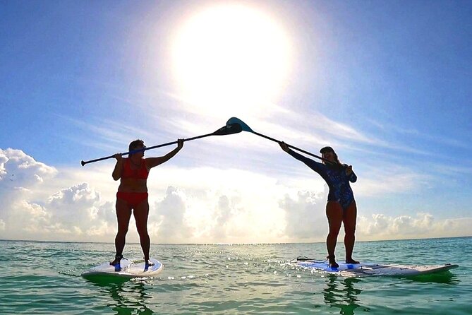 Morning Session - All Levels Paddleboard Group Caribbean Sea - Meeting point at Fusion Beach: what to plan for before you hit the water