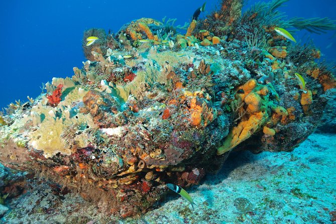 Open Water Diver course PADI including underwater video - Instructors Who Teach Calmly (And Actually Stay With You)