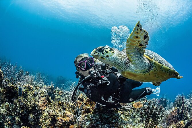 PADI Open Water Diver Course in Playa del Carmen - Price and value: what $590 actually buys you