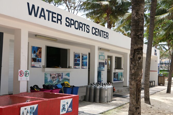 PADI Open Water Diver Course in Playa del Carmen - What you can see: reef life, sea turtles, and the 18m reality