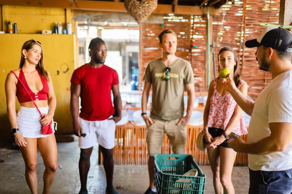 Playa del Carmen: 3-Hour Local Food Walking Tour - Price, Pacing, and What You’ll Actually Get for $84