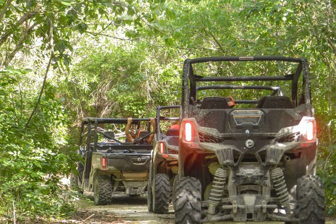 Playa del Carmen Buggy Tour with Cenote Swim and Mayan Village Visit - The Jungle Buggy Ride: Dust, Mud, and Why Goggles Matter