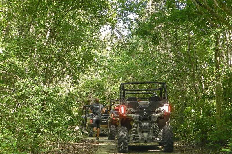 Playa Del Carmen: Cenote & Mayan Village Tour by Buggy - The private cenote swim: what to expect under the trees