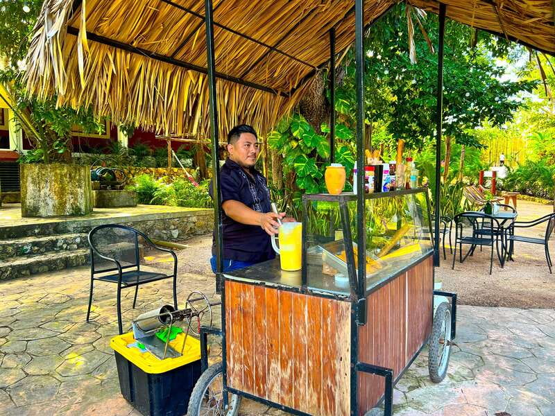 Playa del Carmen: Chichen Itza, Valladolid, Cenote & Buffet - Chichén Itzá: why this morning ruins stop feels worth the trip