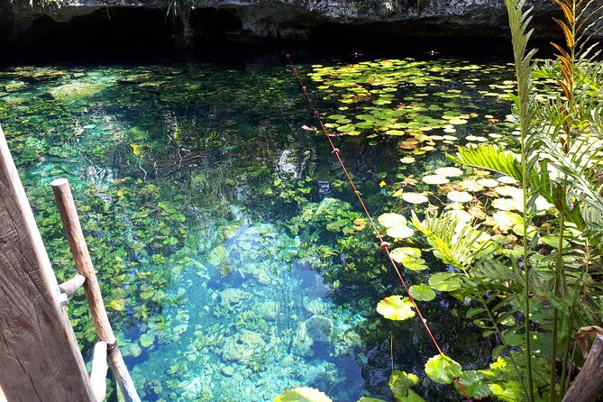 Private Akumal & Cenotes tour - Private Tour Pacing: How Your Guide Makes It Feel Effortless