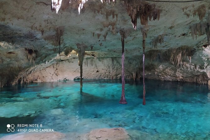 Private Akumal & Cenotes tour - Price and Value: What $242 Buys You Here