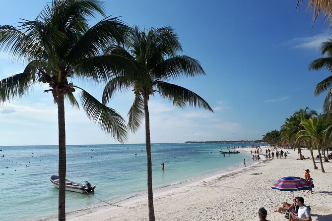Private Akumal & Cenotes tour - Timing From 9:00 AM: What Your Day Feels Like