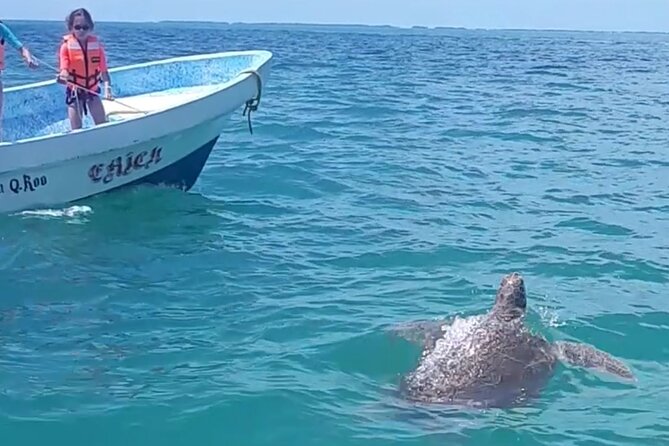 Private Akumal & Cenotes tour - Who This Tour Fits Best