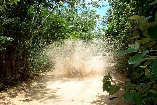 Private ATV Jungle Explorer Tour - Cruising Playa del Carmen’s jungle roads in about 1 hour