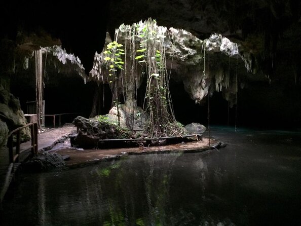 Private Cenote & Cave – Playa del Carmen, Mayan Culture & Fossils - Key Points