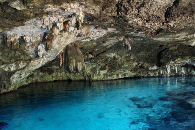 Private Cenote & Cave – Playa del Carmen, Mayan Culture & Fossils - Your Guide and the Tone: Knowledge That Still Feels Practical