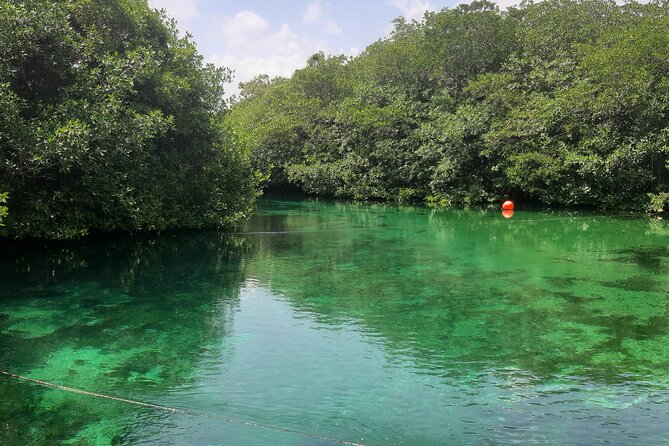 Private Cenotes tour - Private Cenotes from Playa del Carmen: the 8:30 start that pays off