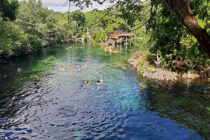 Private Cenotes tour - Casa Cenote: open-air swimming pool energy with fish and mangroves