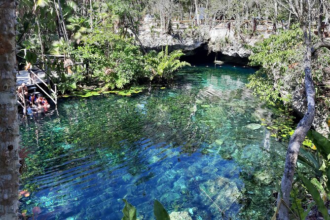 Private Cenotes tour - The rhythm of a multi-cenote morning (and why timing matters)