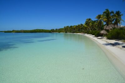 Private Escape: Isla Contoy & Isla Mujeres with Snorkeling - Snorkeling on the Mesoamerican Reef: What You Get in 40 Minutes