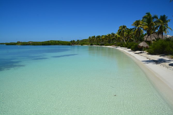 Private Escape: Isla Contoy & Isla Mujeres with Snorkeling - Snorkeling on the Mesoamerican Reef: What You Get in 40 Minutes