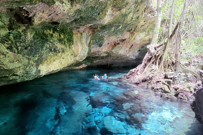 Private experience 5 cenotes at Riviera Maya - Getting There: Pickup, Jungle Walk, and What You Should Expect