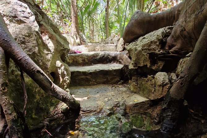 Private experience 5 cenotes at Riviera Maya - Who This Tour Is Best For (And Who Might Want a Different Option)
