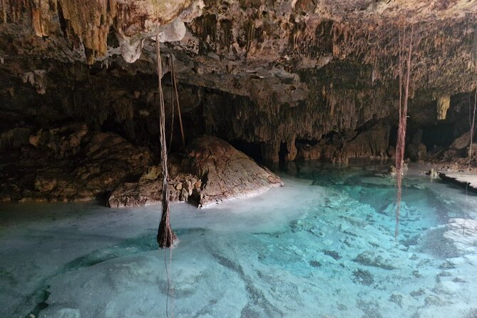 Private experience 5 cenotes at Riviera Maya - The Cenote Circuit: How the Five Stops Play Out