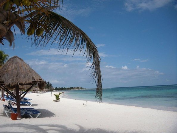 Private Snorkeling with Sea Turtles in Akumal Beach - Quick Highlights You’ll Want to Know Before You Go