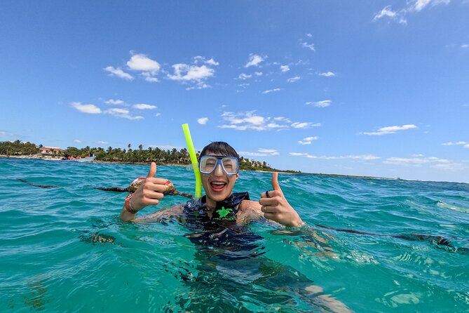 "Private snorkeling with turtles in Akumal + Photos included" - Timing and weather: when to book for smoother conditions