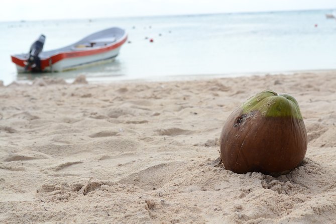 Private swiming with Turtles in Akumal - Customizing beyond turtles (when you want a second highlight)