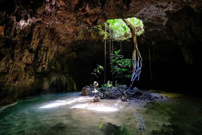 Private Tour Cenotes Sac Actun The Longest Underground River - Key Things You’ll Notice Right Away