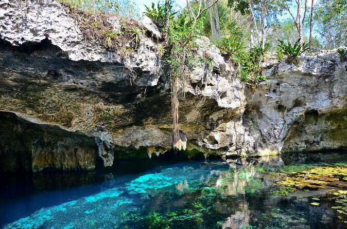 Private Tour The Best Cenotes in Tulum Riviera Maya - Key highlights worth caring about