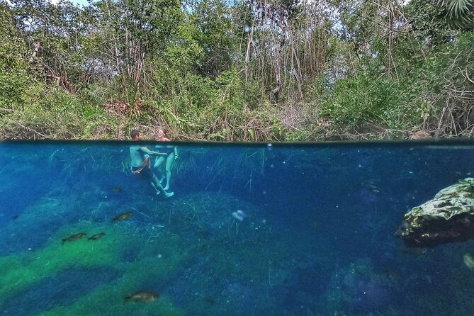 Private Tour The Best Cenotes in Tulum Riviera Maya - Mexican lunch and snacks that actually help after swimming