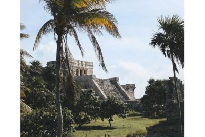 Private Tour to Tulum, Cenote and Swimming with Turtles - Price and what you get for $410 per person