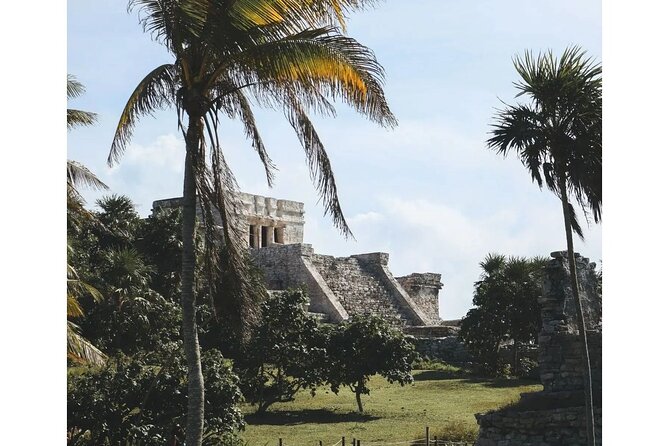 Private Tour to Tulum, Cenote and Swimming with Turtles - Price and what you get for $410 per person
