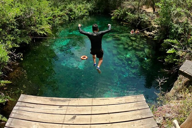 Private Tour Tulum Tortugas Cenote Beach All Inclusive - Private pace, family-friendly handling, and photo help