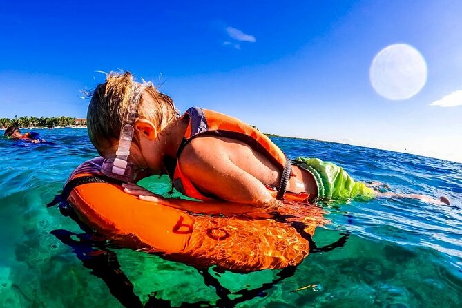 Private Tour Tulum Tortugas Cenote Beach All Inclusive - Price and value: what $250.89 per person buys you