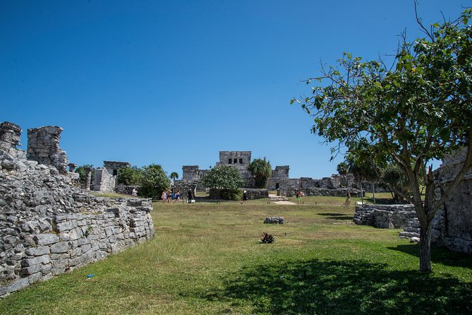 Private Tulum Ruins, Turtles in Akumal and Cenote Adventure - Akumal Beach snorkeling for sea turtles in Turtle Bay